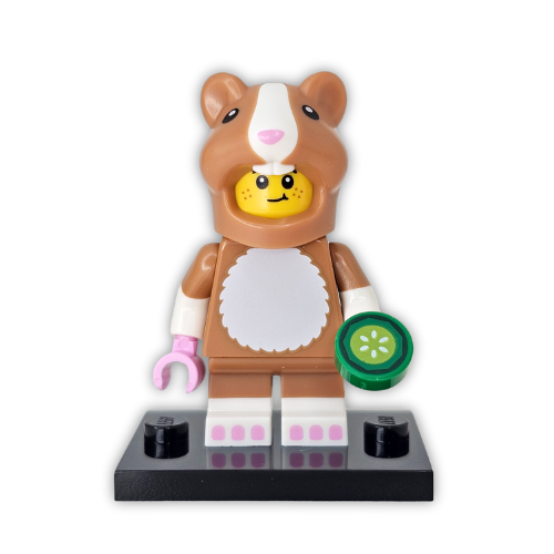LEGO® Collectible Minifigure Series 27 Set 71048