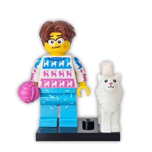 LEGO® Collectible Minifigure Series 27 Set 71048